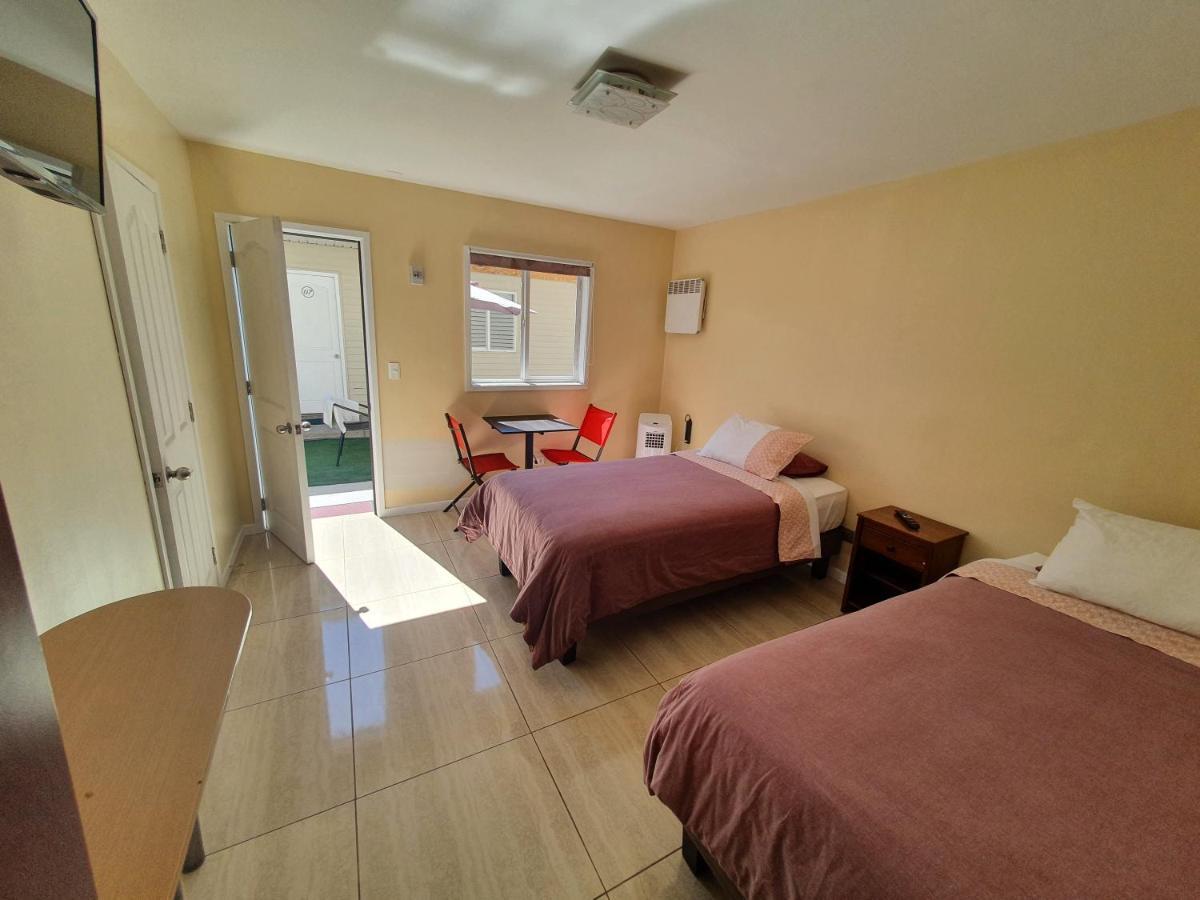 Willson 3* Santiago